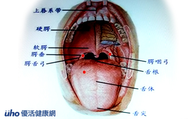 关于口腔癌有哪些早期表现的专科毕业论文范文