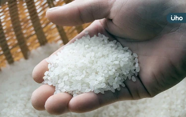米怎樣保存才不會「長米蟲」？小家庭最好挑「這種米」來吃才新鮮