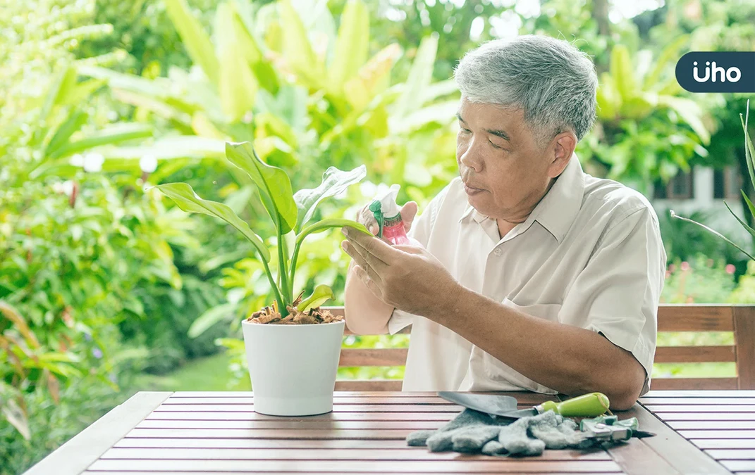 不婚不生沒兄弟姊妹，該如何安享晚年？律師給單身族的「退休3提醒」