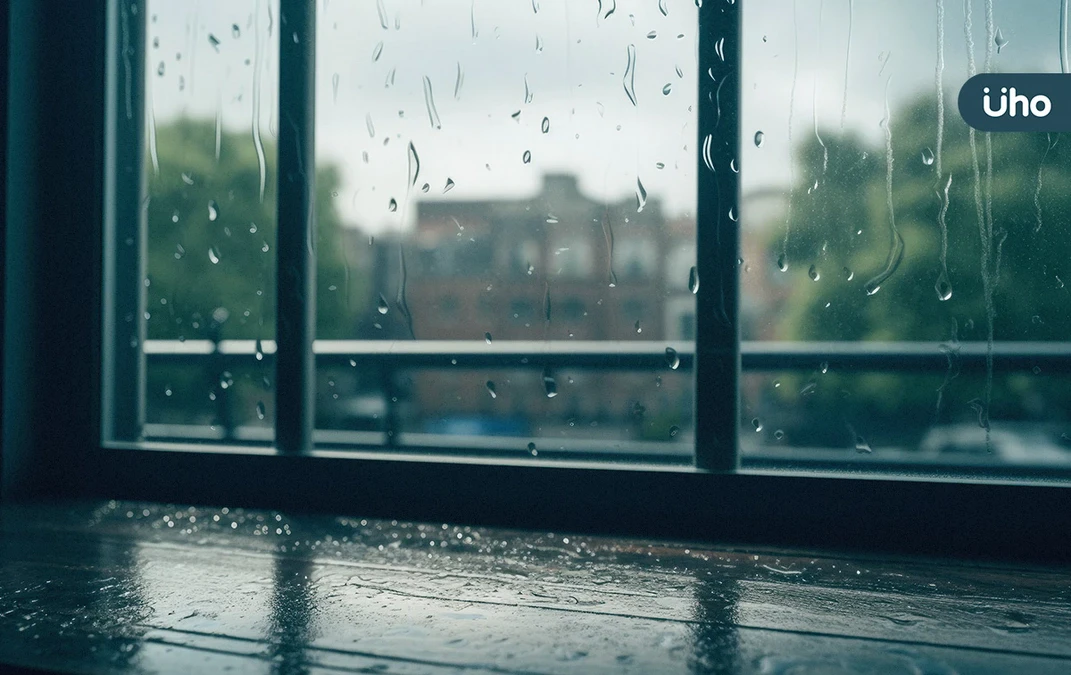 下雨天最怕室內潮濕！居家防潮必備「5個天然除霉小物」鹽巴也有用