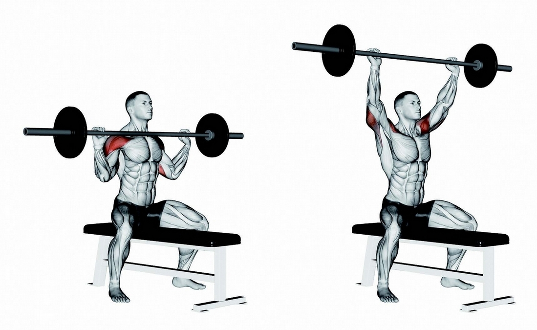 肩上推舉Shoulder Press