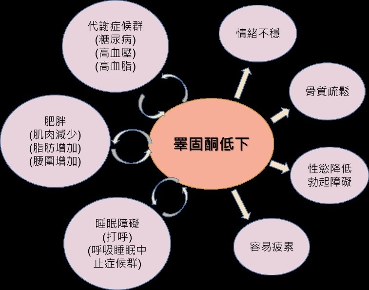 睪固酮低下7大共病與治療