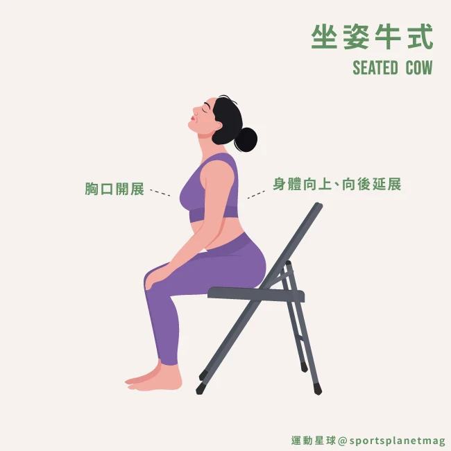 3. 坐姿牛式（Seated Cow）