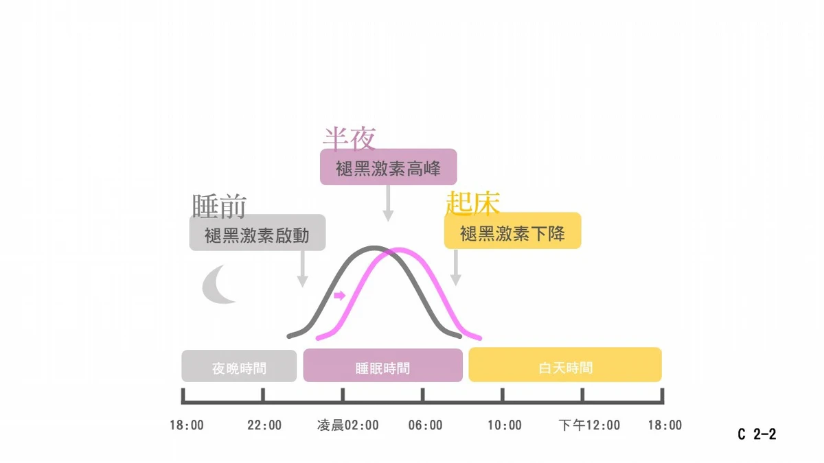 自然後移的褪黑激素與睡眠時間