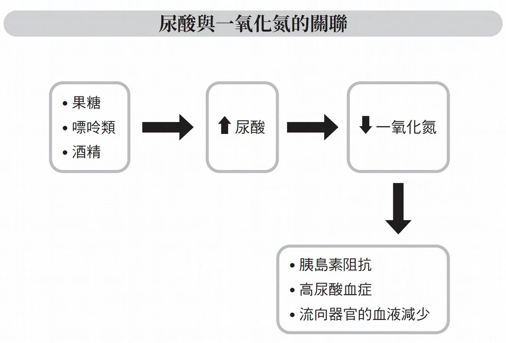 尿酸與一氧化氮的關聯