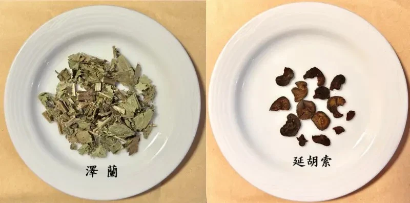 術後膝關節血腫，中藥敷貼可治療