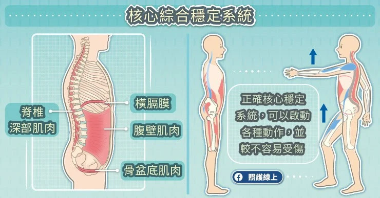 動態神經肌肉穩定術