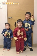 小柔媽咪的育兒趣:「三隻小豬」來拜年