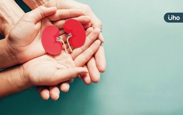 腰子不好?腎臟科醫師教「慢性腎臟病」照護3關鍵,甩開洗腎宿命