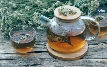 艾草有益治療巴金森!最新研究:可幫助神經細胞「回收再利用」