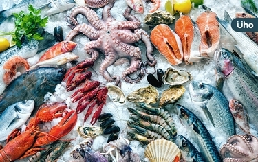 吃海鮮怎麼挑最鮮？魚蝦貝軟足「低脂海鮮」教你這樣吃優質蛋白質