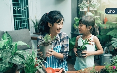 超人氣室內植物》專家推薦「這5種」天然空氣清淨機，美觀又超紓壓