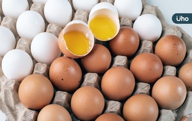 紅殼紅蛋黃較營養？保存需放冰箱蛋架？專家破解雞蛋「6大迷思」