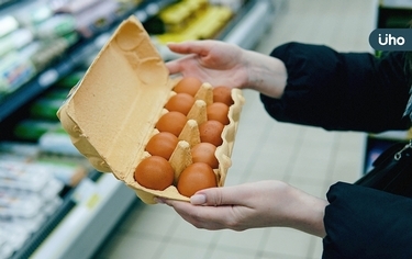 全台蛋荒不用怕！營養師揭「這些食物」都能替代：建議豆製品優先