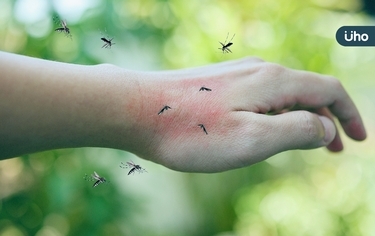 愛吃肉容易被蚊子叮？食藥署揭真相：皮膚上有「它」才是叮咬關鍵