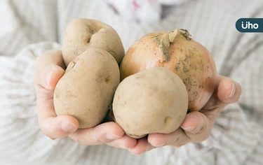 馬鈴薯、花生、地瓜⋯發芽還能吃嗎？營養師點名「這1種」最危險