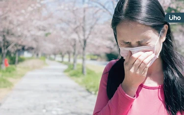 宋奉宜專欄》一直以來都誤會櫻花了！醫揭「花粉症」元凶你猜不到