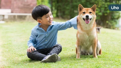 毛孩比小孩多台灣寵物年增二十萬 寵物頭號三疾病逐年攀升 治療照護需求高