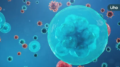 Discovery《醫療先鋒:再生醫學》一探尖端醫學的現在與未來