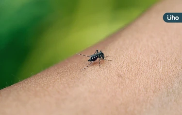 日本腦炎「單週增5例」創5年新高!疾管署示警:案例均有「1共同點」