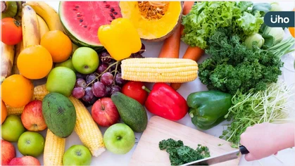 臺大醫院北護分院響應千禧之愛倡導「蔬果佔一半 健康有保障」邁向健康與永續共好