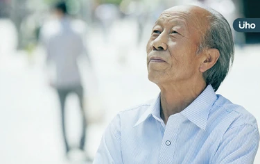 失智症跟腸道菌有關?研究證實「補充益生菌」可恢復、延長記憶功能