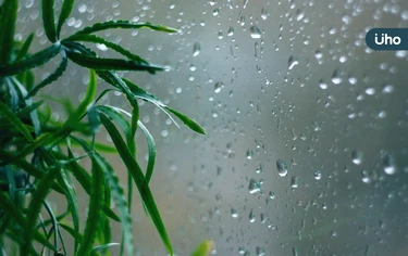 梅雨季「家中6大場所」最易潮濕發霉!達人揭「室內防黴對策」去霉味