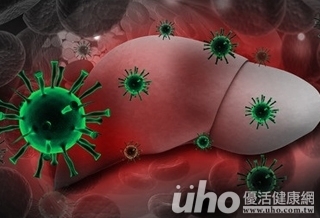 C肝可根治 勿輕忽黃金治療時機
