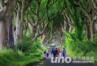 散步防肥胖?快用大自然治百病