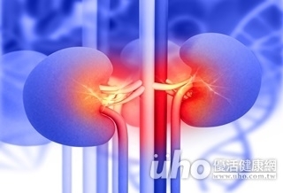 升糖素太高 小心腎臟過勞!