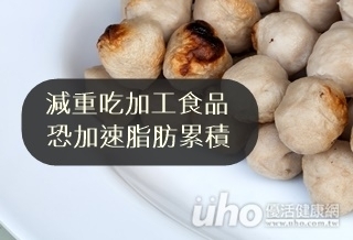 減重吃加工食品　恐加速脂肪累積