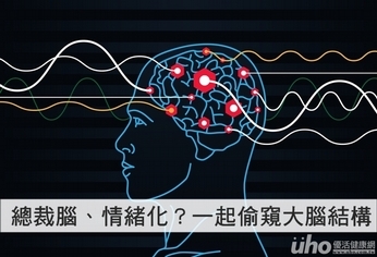 總裁腦、情緒化？一起偷窺大腦結構