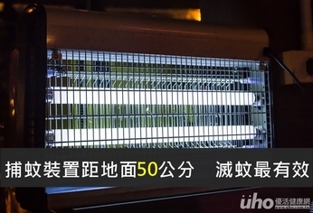 捕蚊裝置距地面50公分 滅蚊最有效