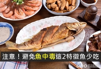 注意！避免魚中毒這2特徵魚少吃