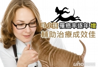 毛小孩罹癌率逐年增 輔助治療成效佳