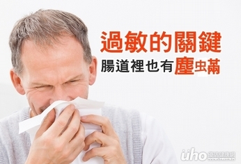 腸漏症的關鍵 腸道裡也有塵蟎!