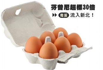 芬普尼超標30倍 毒蛋流入新北!