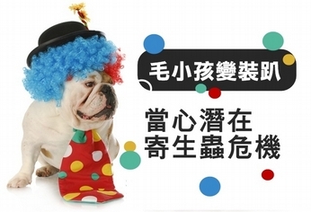 毛小孩變裝趴!當心潛在寄生蟲危機