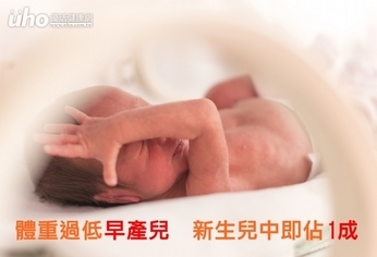 體重過低早產兒 新生兒中即佔1成