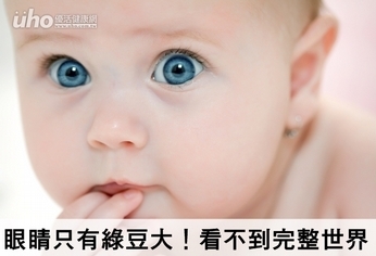 眼睛只有綠豆大!看不到完整世界