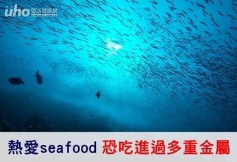 熱愛seafood　恐吃進過多重金屬