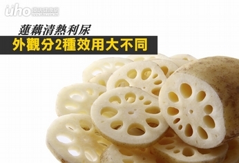 蓮藕清熱利尿 外觀分2種效用大不同