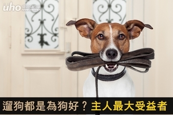 遛狗都是為狗好?主人最大受益者