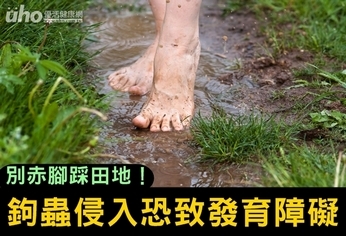 別赤腳踩田地!鉤蟲侵入恐致發育障礙
