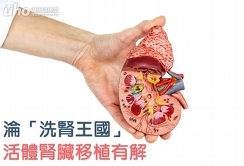 淪「洗腎王國」　活體腎臟移植有解