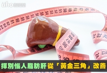 揮別惱人脂肪肝 從「黃金三角」改善