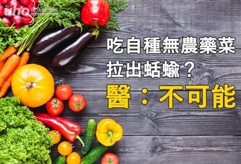 吃自種無農藥菜拉出蛞蝓?醫:不可能