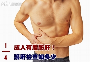 1/4成人有脂肪肝!護肝檢查知多少