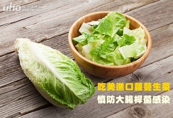 吃美進口蘿蔓生菜　慎防大腸桿菌感染