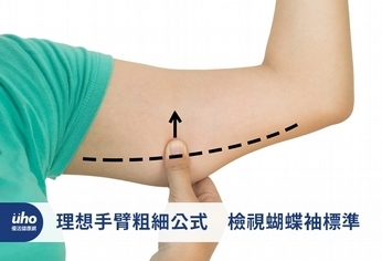 理想手臂粗細公式　檢視蝴蝶袖標準